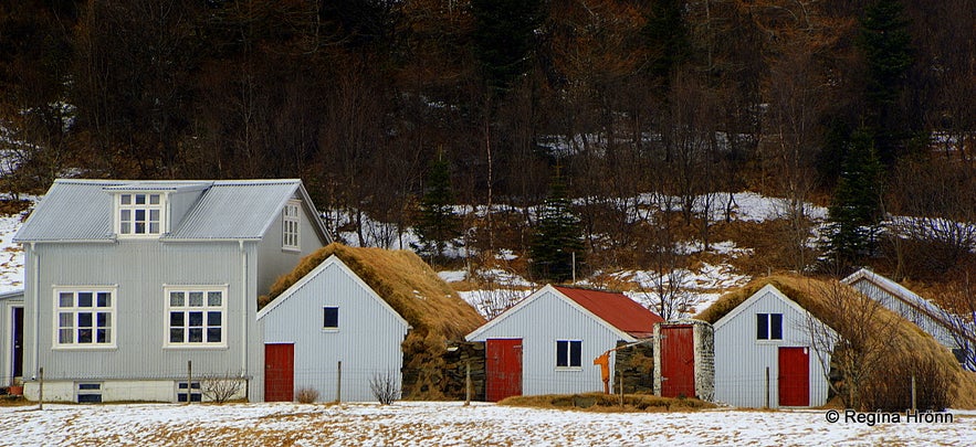 Turf outhouses at Kálfafellskot in South-Iceland