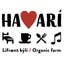 havari logo.jpg