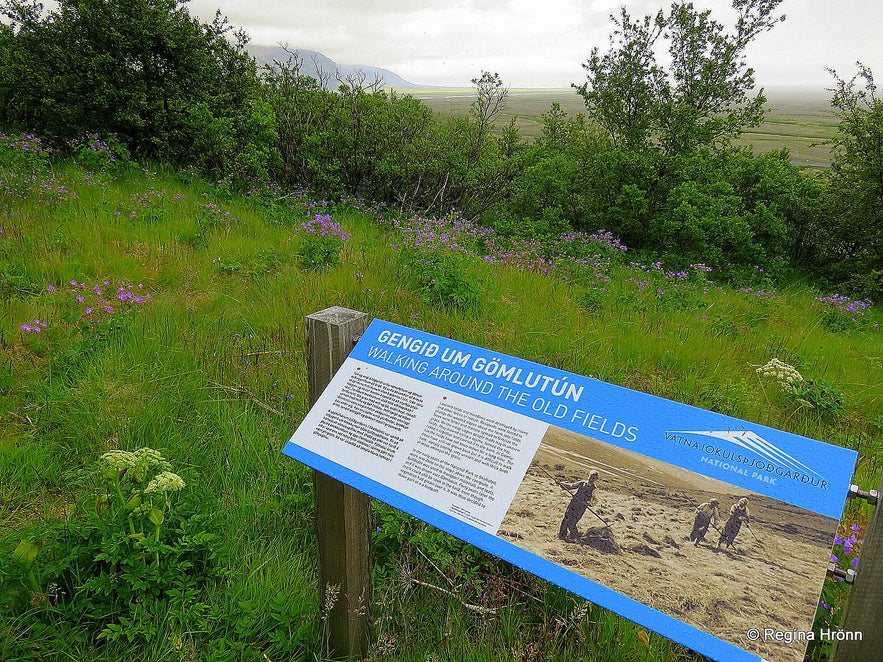 An information sign in Skaftafell about the old fields