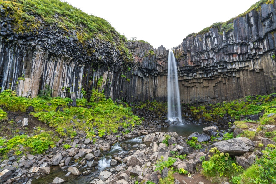 Svartifoss