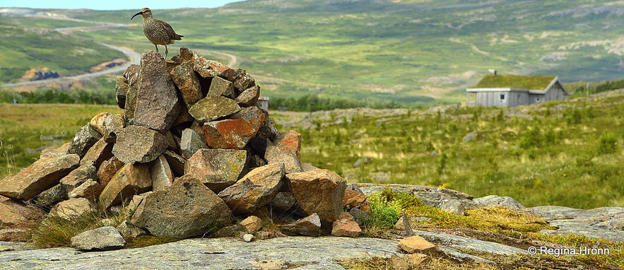 Svanshóll in the Strandir area Westfjords