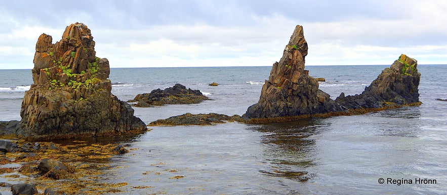 Trékyllisvík at Strandir - Árnesstapar rocks