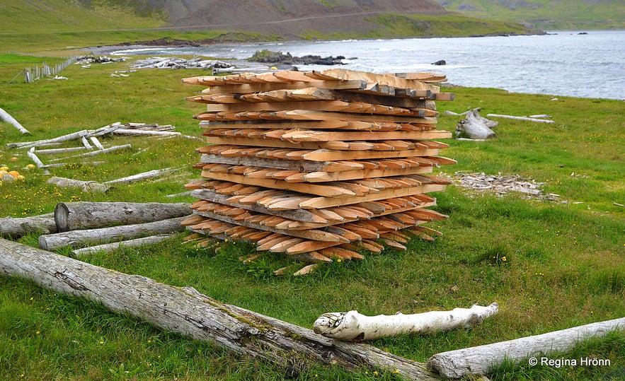 Driftwood at Strandir