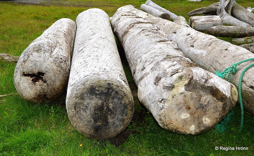 Driftwood at Strandir