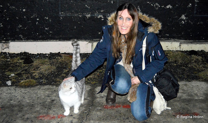 Regína petting Hippo the Cat in Hólmavík