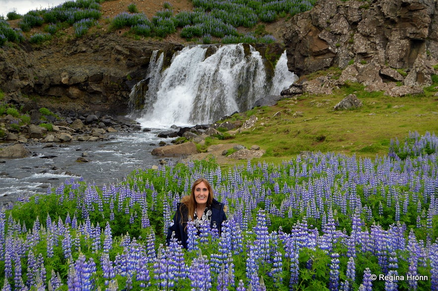 Regína by Fossárrétt in West-Iceland