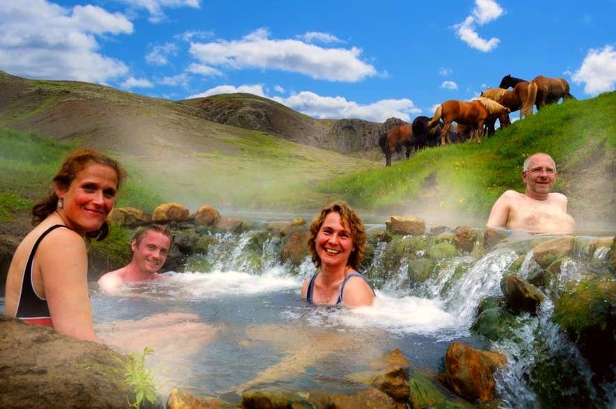 A group of travelers relaxing in Reykjadalur hot spring with horses on a summer day