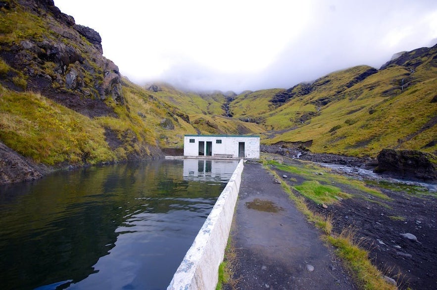 Seljavallalaug er en beskyttet udendørs pool i det sydlige Island.