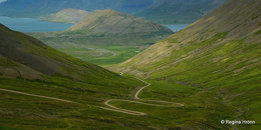 Hrafnseyrarheiði heath in the Westfjords