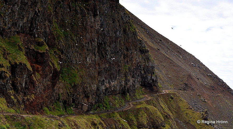 Kjaransbraut road - Svalvogavegur in the Westfjords