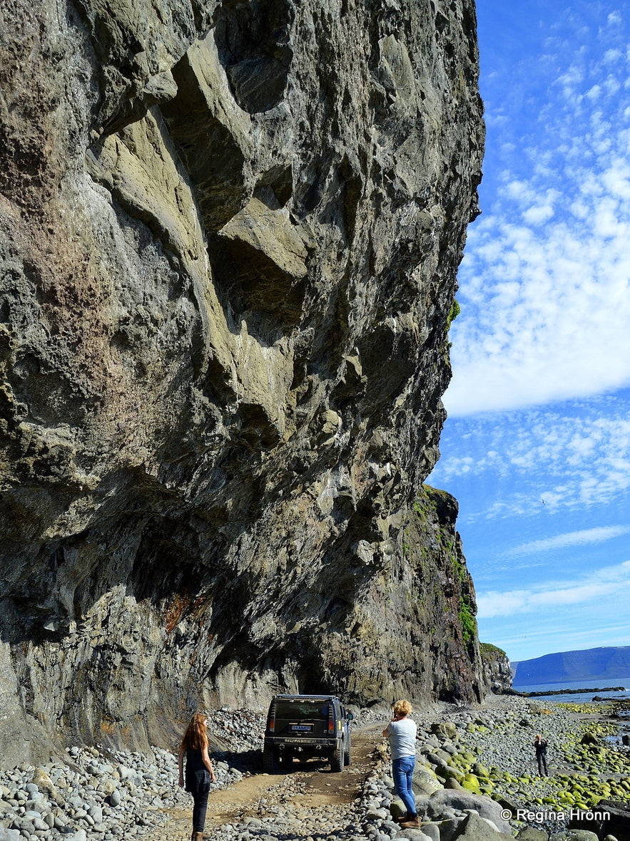 Skútabjörg cliffs in the Westfjords