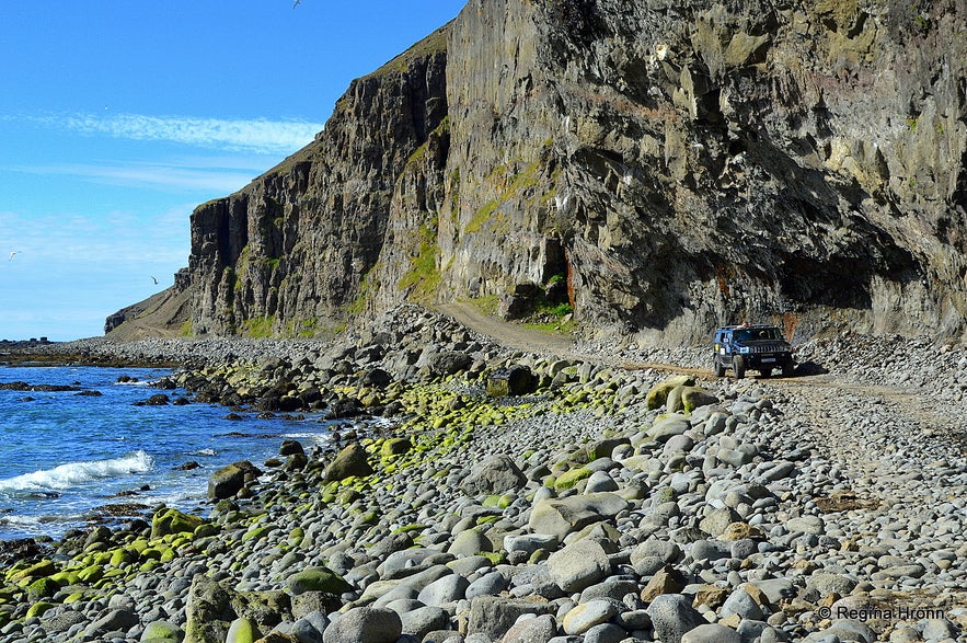 Skútabjörg cliffs in the Westfjords