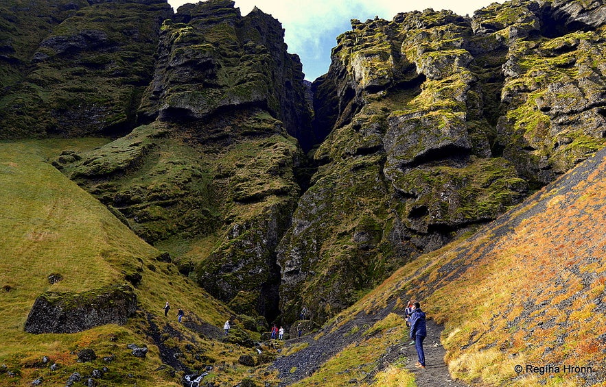 Rauðfeldsgjá gorge Snæfellsnes