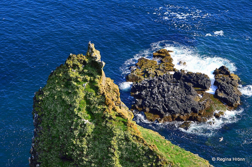 Þúfubjarg cliffs - Snæfellsnes peninsula