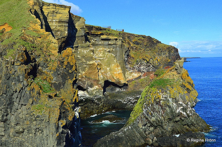 Þúfubjarg cliff Snæfellsnes