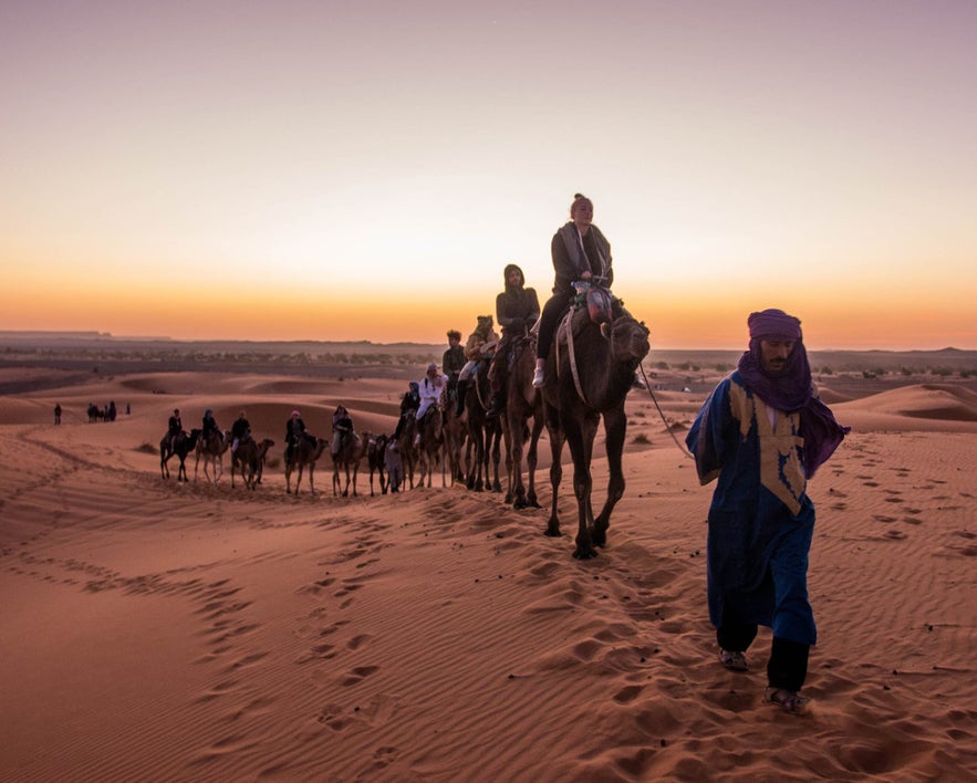 The Guide to Iceland team camel riding in the Sahara desert.