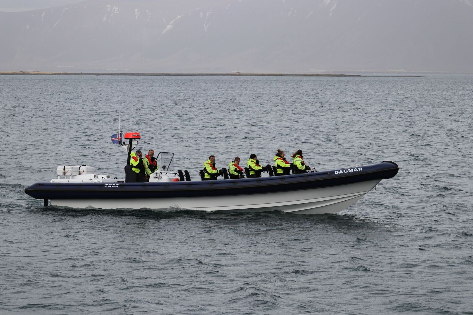 Denne RIB Boat Express tur varer to timer, hvilket giver dig masser af chancer for at se hvaler, delfiner og det islandske fugleliv.