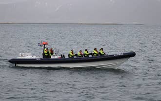 L'excursion en bateau semi-rigide express durera deux heures, ce qui vous donnera l'occasion de voir des baleines, des dauphins et la faune ornithologique islandaise.