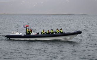 这趟RIB快艇之旅将持续两个小时，为您提供大量观赏鲸鱼、海豚和冰岛鸟类的机会。