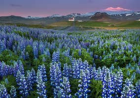 3 in 1 Bundled Discount Tours of the Golden Circle, Snaefellsnes & the Inside the Volcano Experience