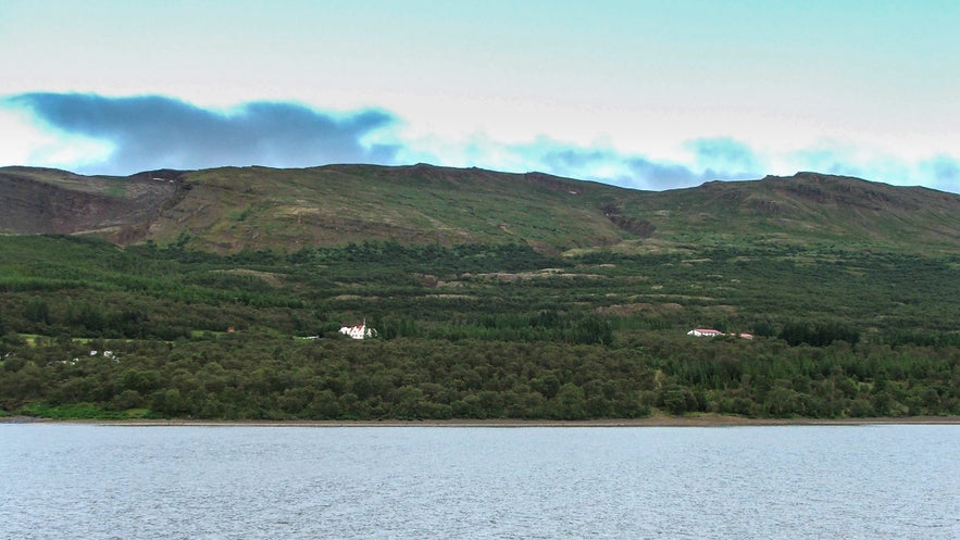 Hallormsstaðaskógur国家森林是冰岛最大的森林