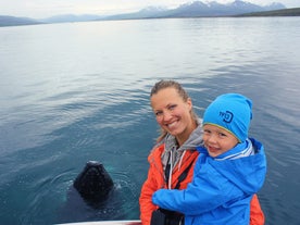 Guided 2.5 Hour Whale Watching Boat Trip in North Iceland with Transfer from Arskogssandur