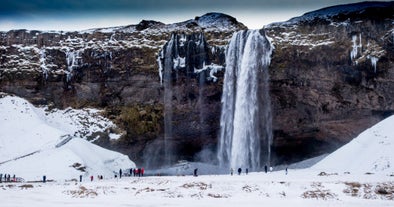 Visit beautiful waterfalls on your South Coast tour.