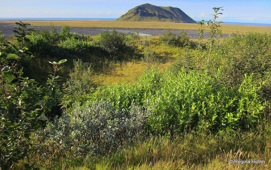 Pétursey in South-Iceland