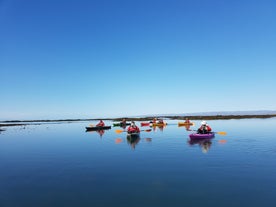 A group of kayakers on a still day near Stokkseyri.