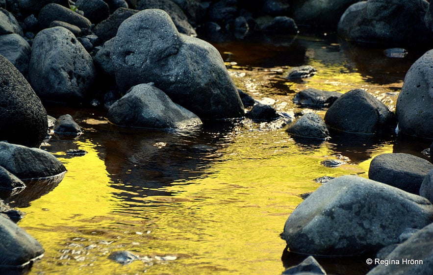 A wonderful Tour to Þórsmörk Valley in South-Iceland with Midgard Adventure