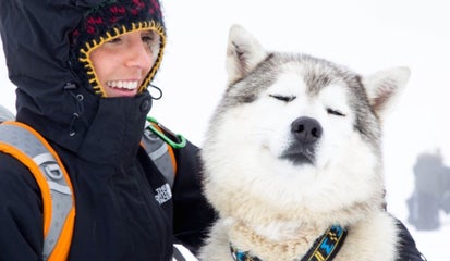 Dog Sledding in Iceland