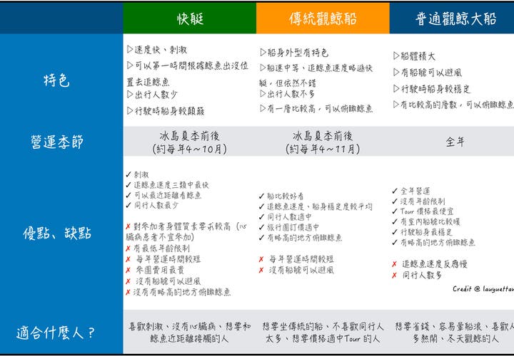 冰島本地觀鯨團比較
