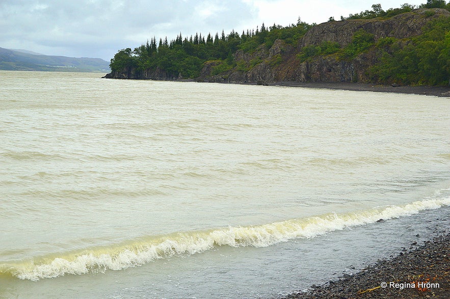 Atlavík cove in Hallormsstaðaskógur