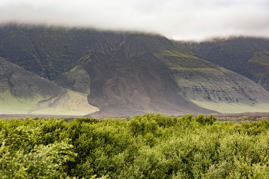 Muse am Berg Fagraskógarfjall