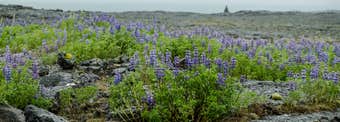 (Fast) ganz Island auf einer Halbinsel – Reykjanes