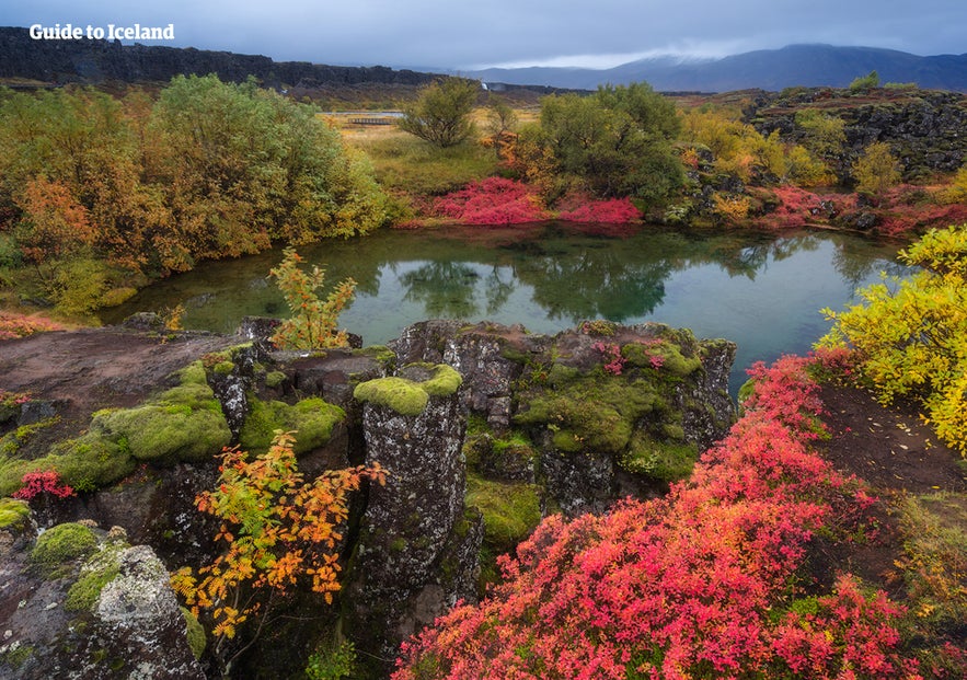 Þingvellir in its full autumn garb