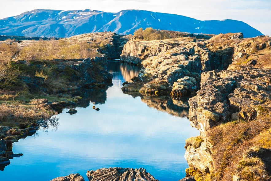 Le parc de Thingvellir - Cercle d'Or