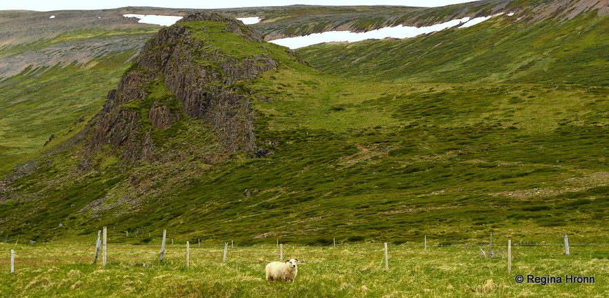 Tungustapi in Sælingsdalur valley West-Iceland