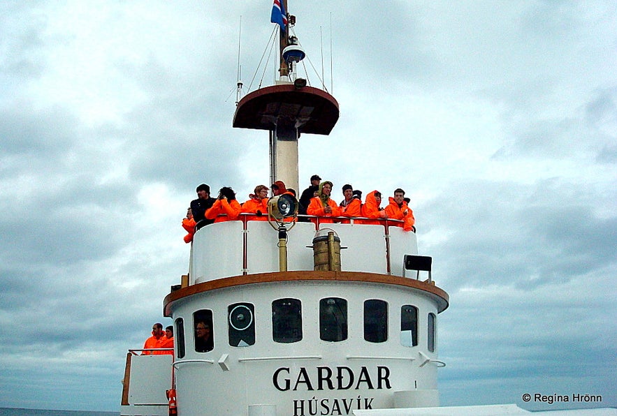 Whale Watching tour with North Sailing in Skjálfandi bay