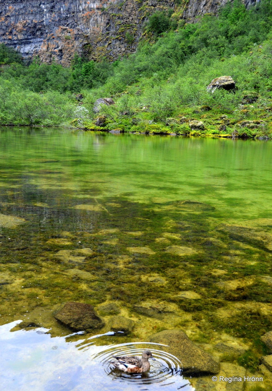 Botnstjörn pond at Ásbyrgi