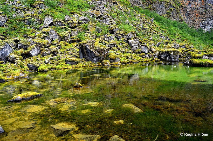 Botnstjörn pond at Ásbyrgi Botnstjörn pond at Ásbyrgi