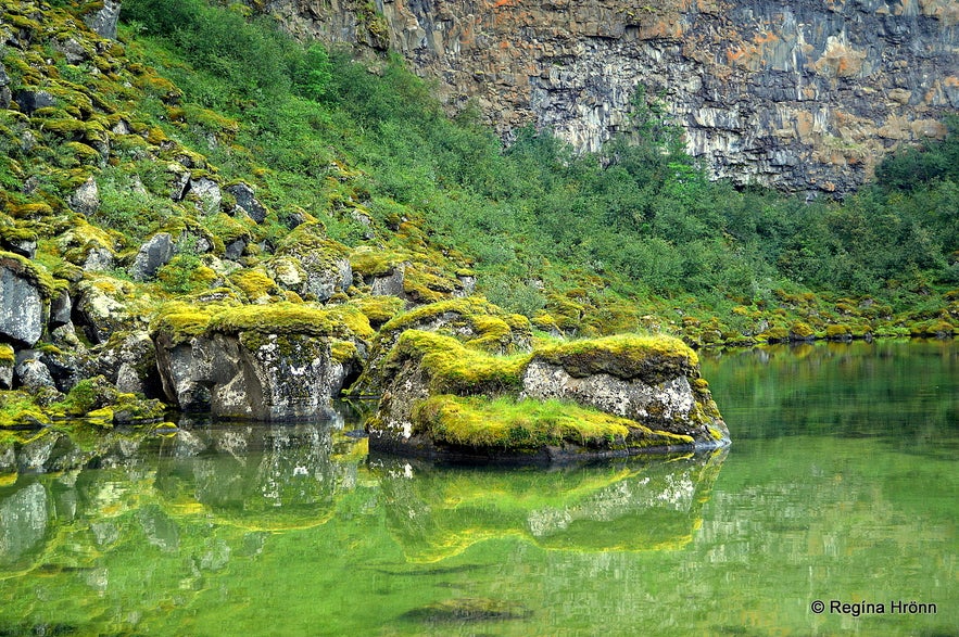 Botntjörns pond in Ásbyrgi, located in northeast Iceland.