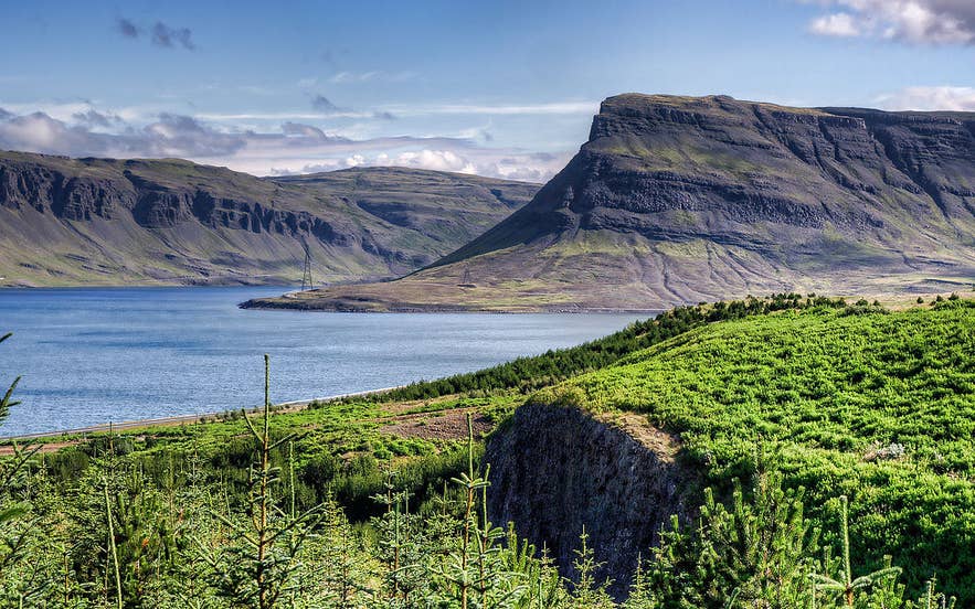 Hvalfjordur, in west IJsland, betekent 'Walvisfjord'.