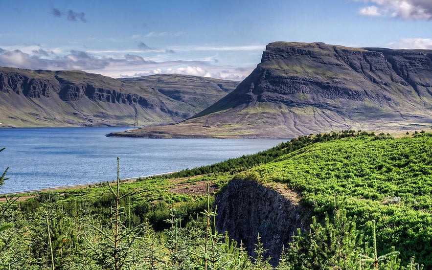 Hvalfjordur, in west Iceland, translates to 'Whale Fjord'. Hvalfjordur, in west Iceland, translates to 'Whale Fjord'.