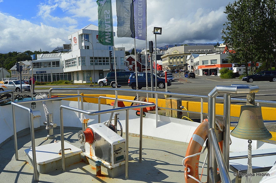 Whale Watching Tour from Akureyri in North-Iceland