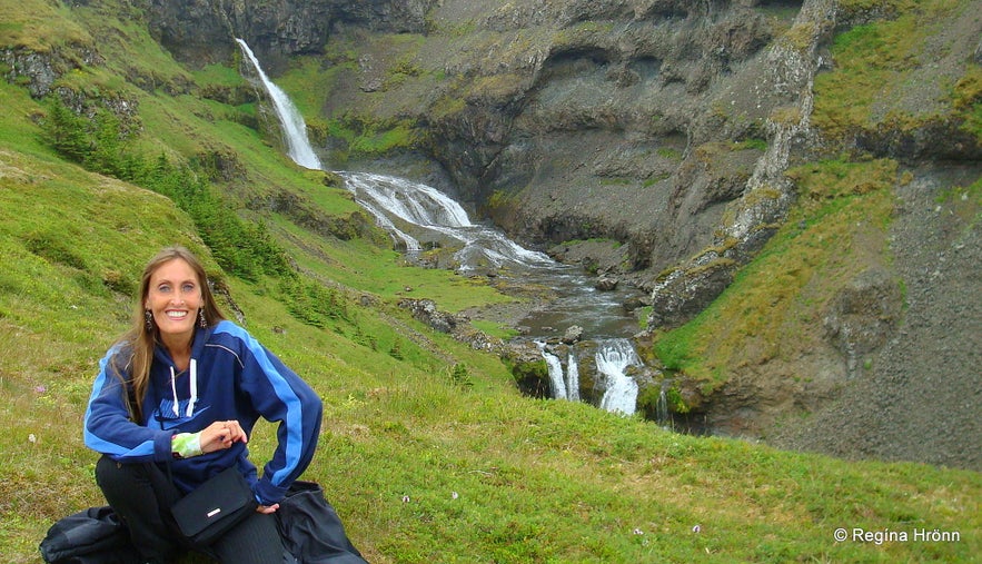 The Concert Hall of the Elves of Iceland