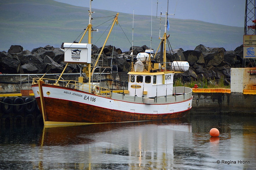 The whale watching boat at Hauganes village The whale watching boat at Hauganes village