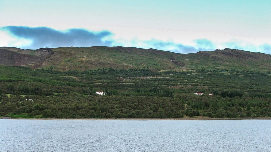 Iceland's largest forest is found in the country's east.