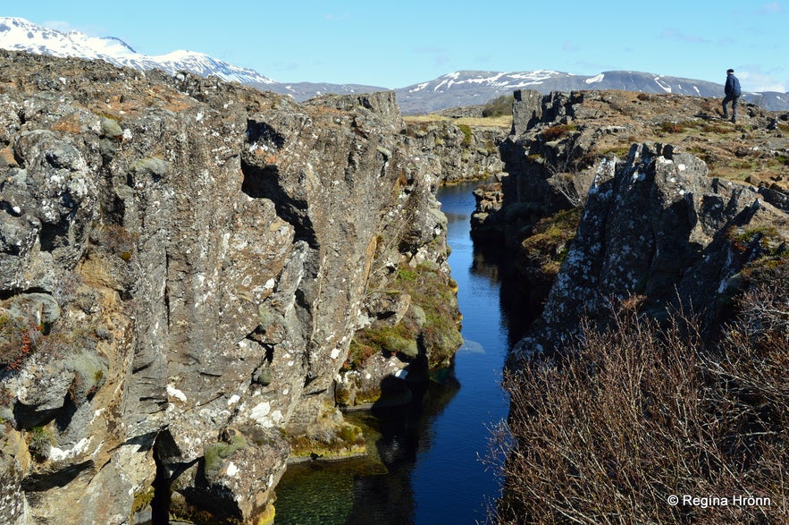 Nikulásargjá rift, Þingvellir nationla park