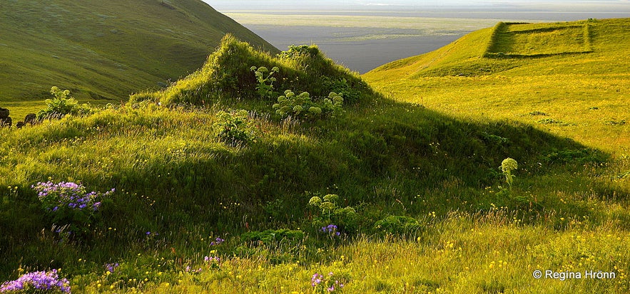 Hjörleifshöfði cape South-Iceland